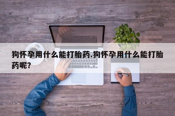 堕胎药网上正品购买微信狗怀孕用什么能打胎药.狗怀孕用什么能打胎药呢？