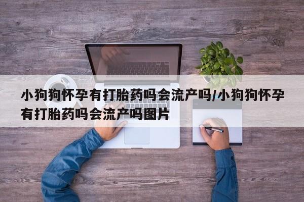 堕胎药网上正品购买微信资讯 第17页