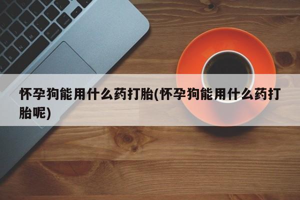 堕胎药网上正品购买微信怀孕狗能用什么药打胎(怀孕狗能用什么药打胎呢)