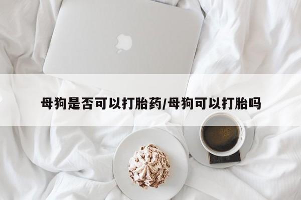 堕胎药网上正品购买微信母狗是否可以打胎药/母狗可以打胎吗